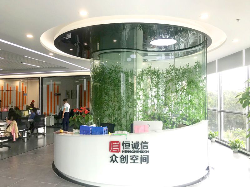 前台-实拍-91视频啪啪啪装修